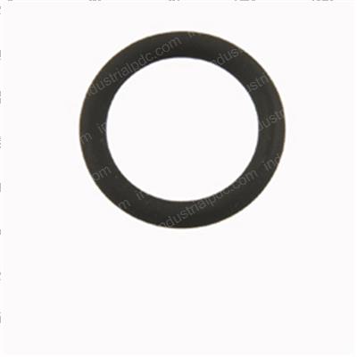 Picture of O-Ring