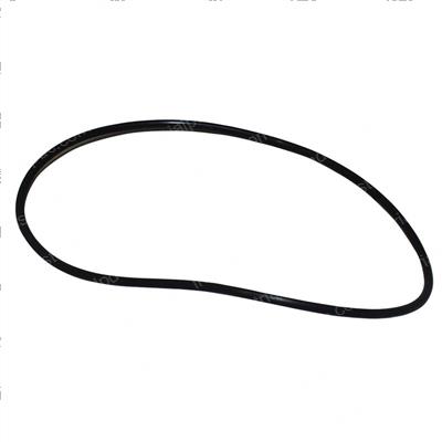 Picture of O-Ring
