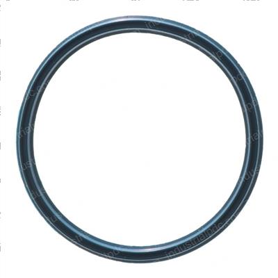 Picture of O-Ring