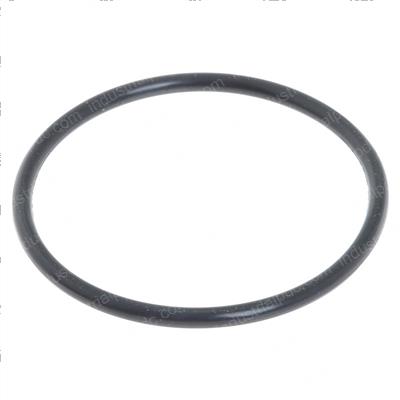 Picture of O-Ring