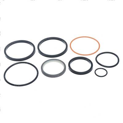 Picture of Seal Kit - Seals + Misc