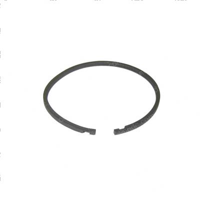 Picture of Seal