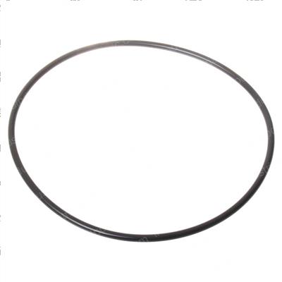 Picture of O-Ring -