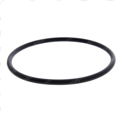 Picture of O-Ring
