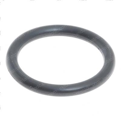 Picture of O-Ring