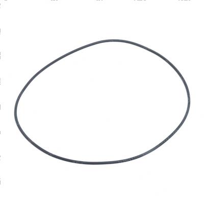 Picture of O-Ring