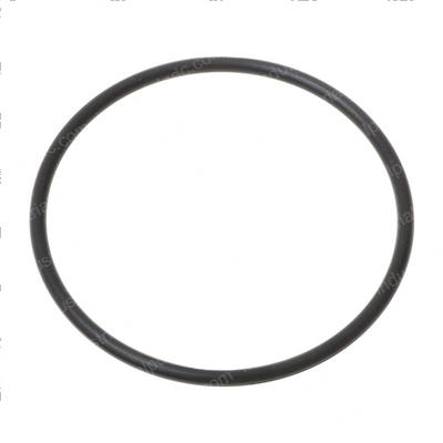 Picture of O-Ring