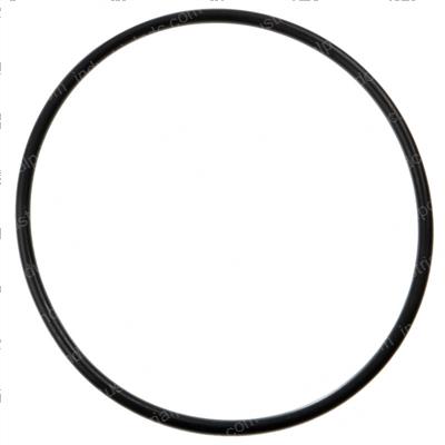Picture of O-Ring