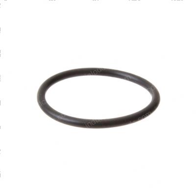 Picture of O-Ring