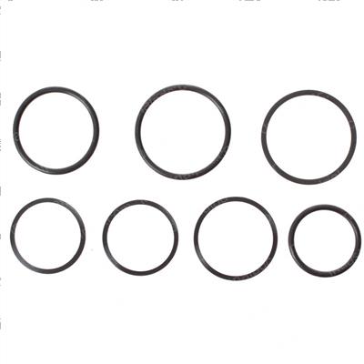 Picture of Seal Kit