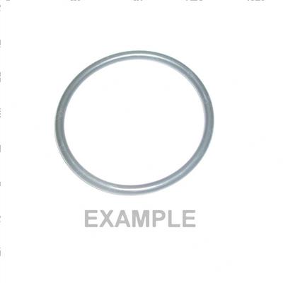 Picture of O-Ring