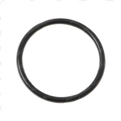 Picture of O-Ring