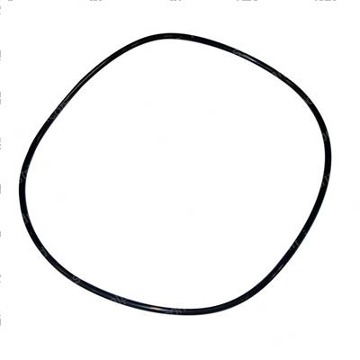 Picture of O-Ring