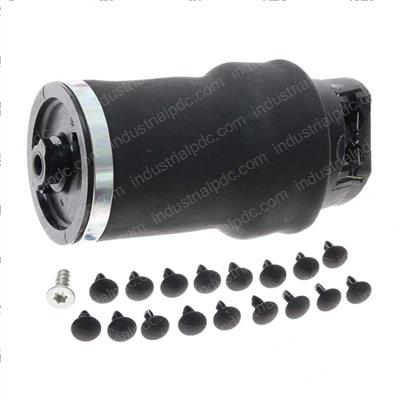 Picture of Air Spring Kit