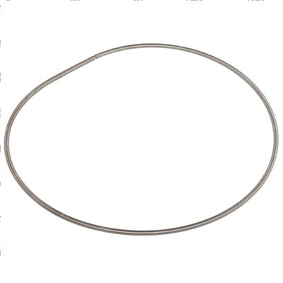Picture of Dust Shield Spring
