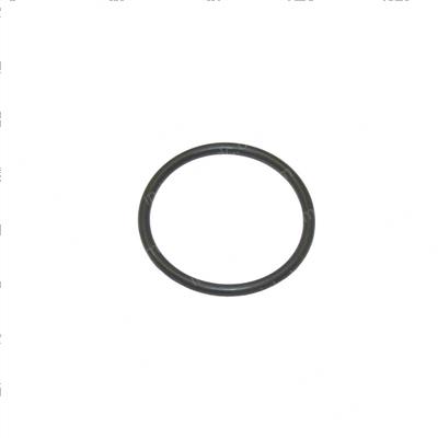 Picture of O-Ring