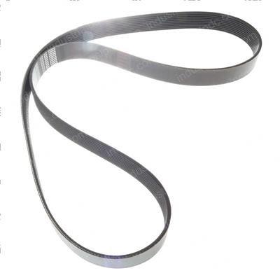 Picture of Belt - Serpentine