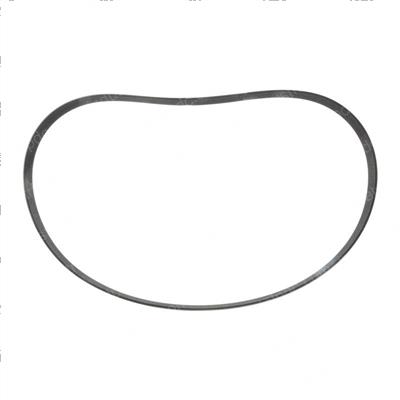 Picture of Belt - Serpentine