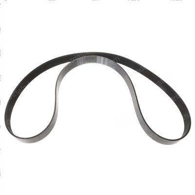 Picture of Belt - Serpentine