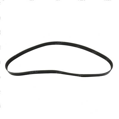 Picture of Belt - Serpentine