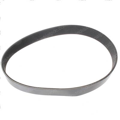 Picture of Belt - Serpentine