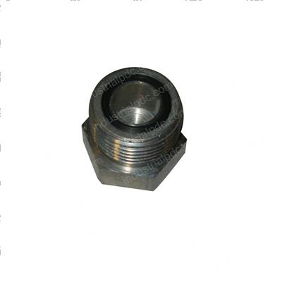 Picture of Plug