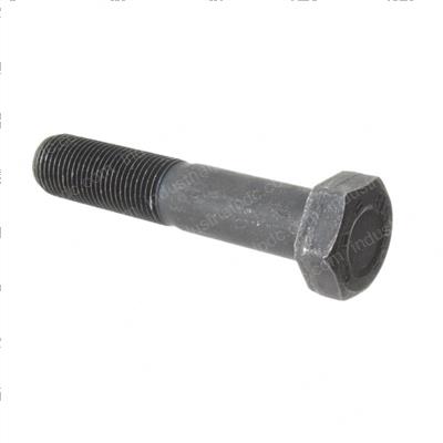 Picture of Bolt