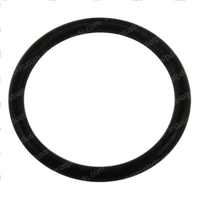 Picture of O-Ring