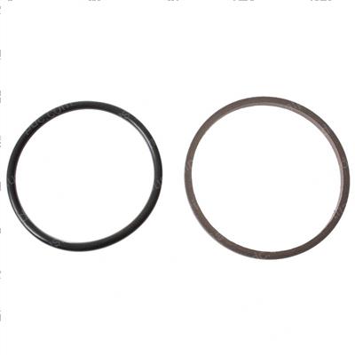 Picture of Seal-Slipper