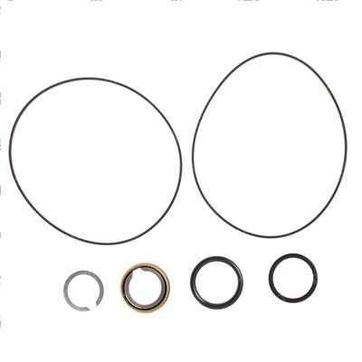 Picture of Seal Kit-Motor