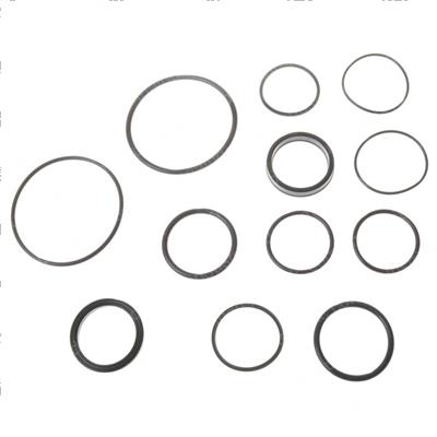 Picture of Seal Kit - Hydraulic Actuator