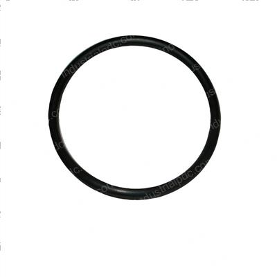 Picture of O-Ring