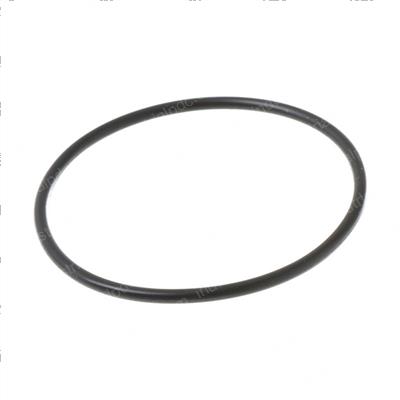Picture of O-Ring