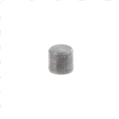 Picture of Blind Plug