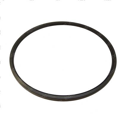 Picture of Seal - Oil