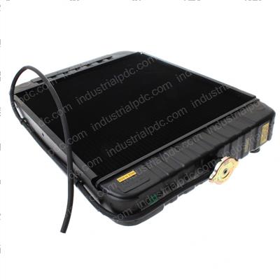 Picture of Radiator Ford Dsg423
