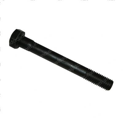 Picture of Bolt