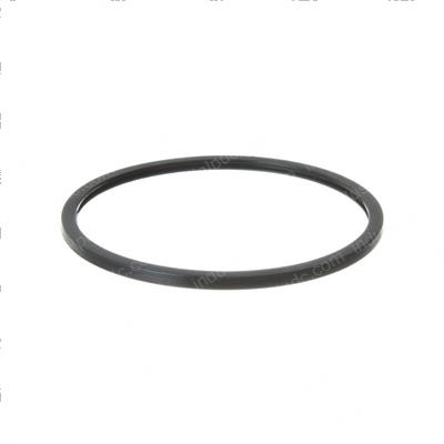Picture of Gasket - Water Outlet