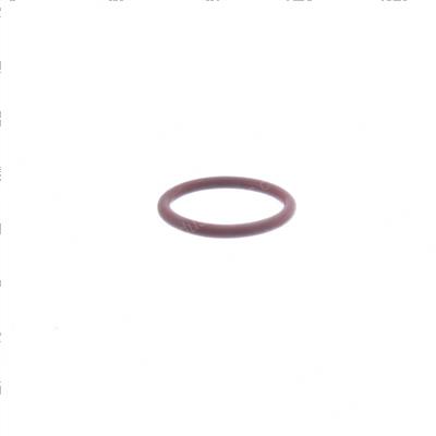 Picture of O-Ring