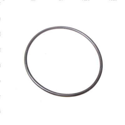 Picture of O-Ring