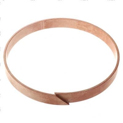 Picture of Ring - Guide