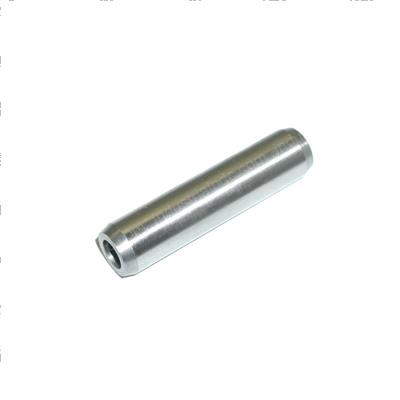 Picture of Guide - Exhaust Valve