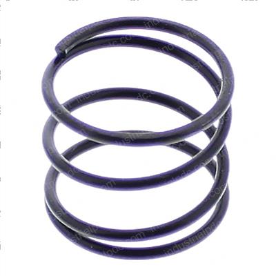 Picture of Spring - Pressure