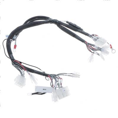 Picture of Master Wiring Harness