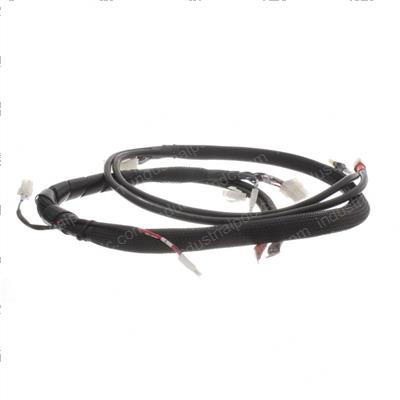 Picture of Harness