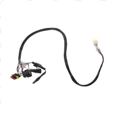 Picture of Wiring Harness