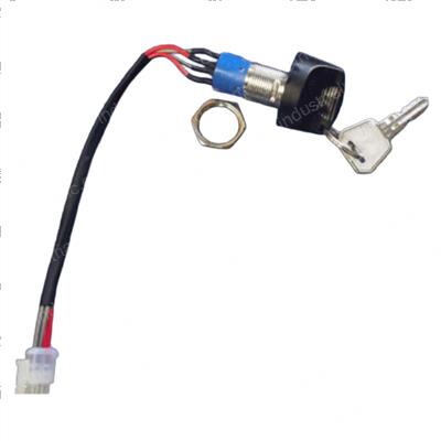 Picture of Switch - Key