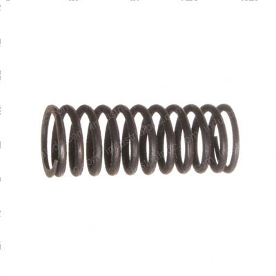 Picture of Spring Compression