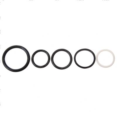 Picture of Seal Kit - Manifold
