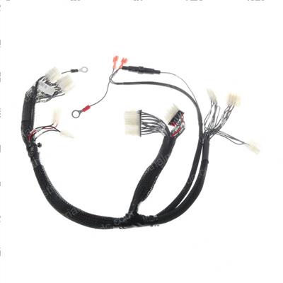 Picture of Master Wire Harness